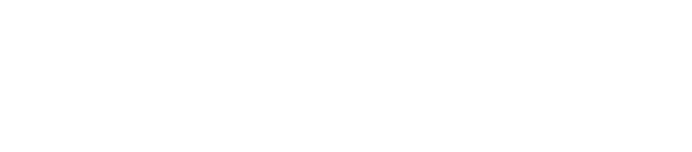 Omni Block México